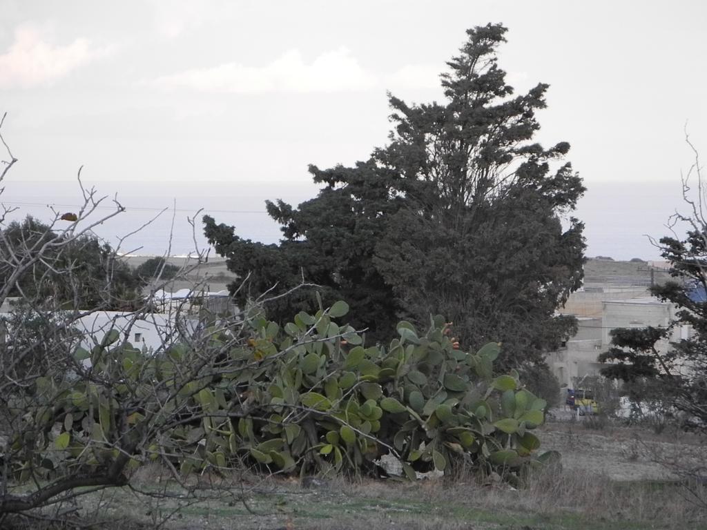 فيلا Era Tefra Éxo Goniá الغرفة الصورة